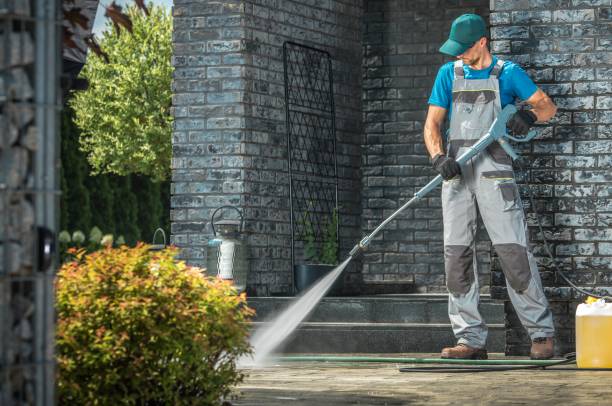 Best Driveway Pressure Washing  in Pike Creek Valley, DE